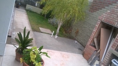 WP_20150418_008.jpg