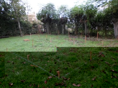 las estacas marcan el lugar de los pozos.